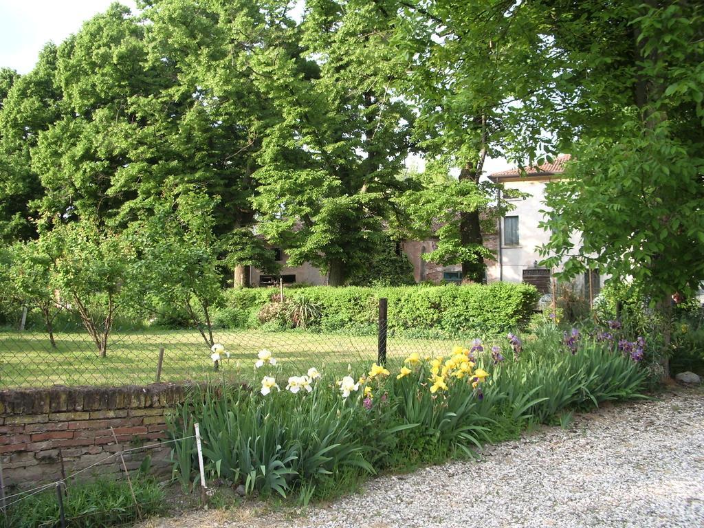Agriturismo Antica Corte Cason Ronco allʼAdige Exteriör bild